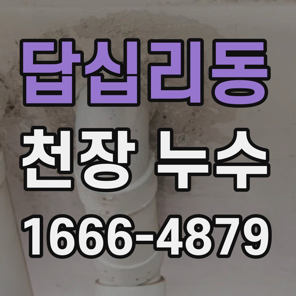 답십리동 천장 누수