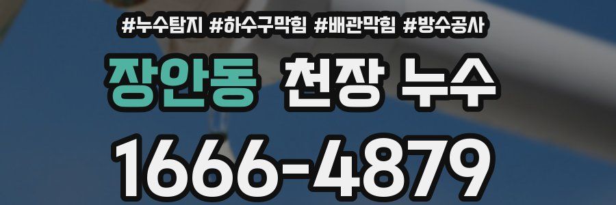 장안동 천장 누수