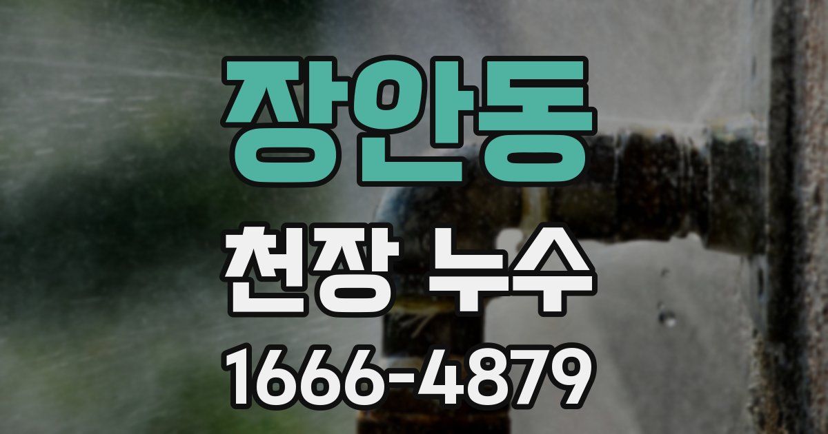 장안동 천장 누수
