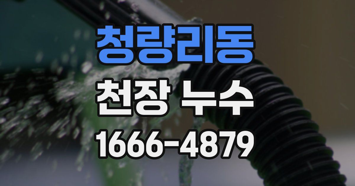 청량리동 천장 누수