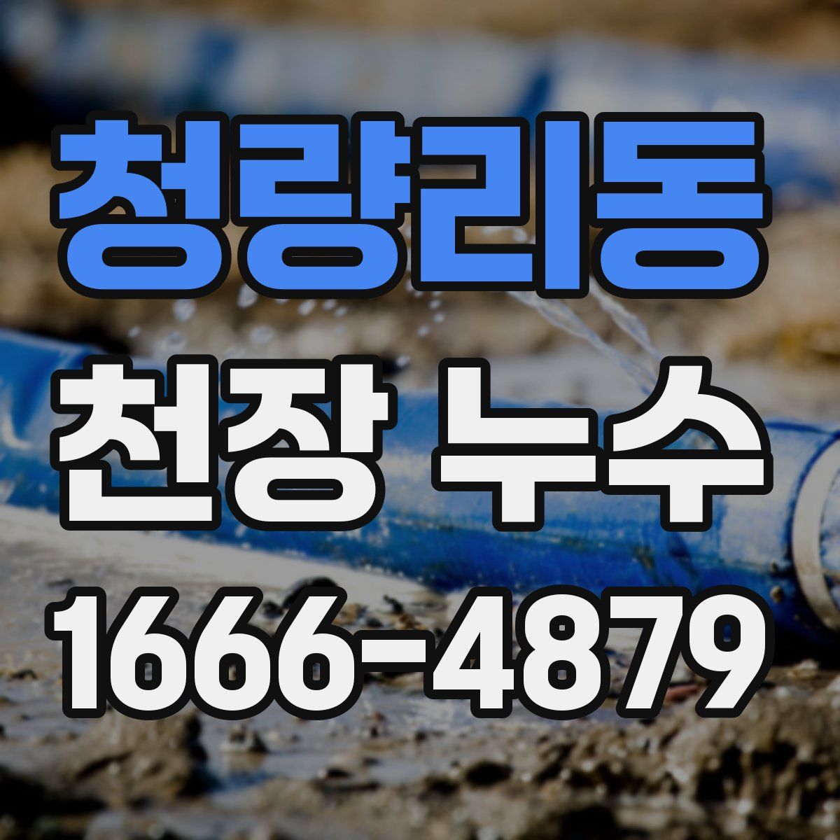 청량리동 천장 누수