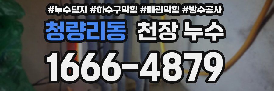 청량리동 천장 누수