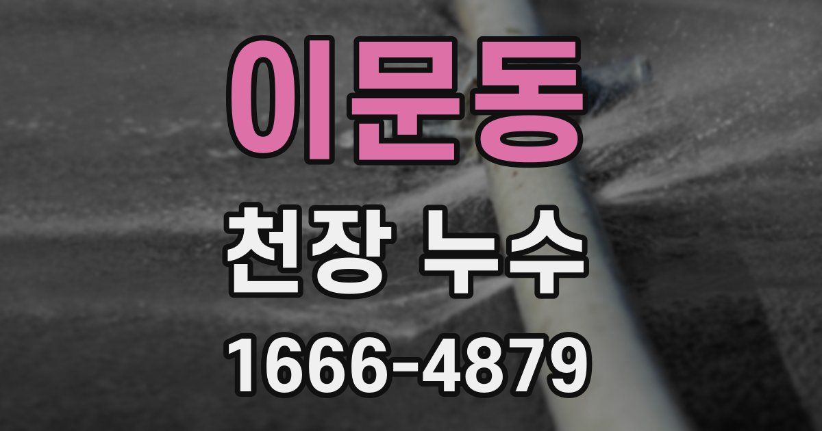 이문동 천장 누수