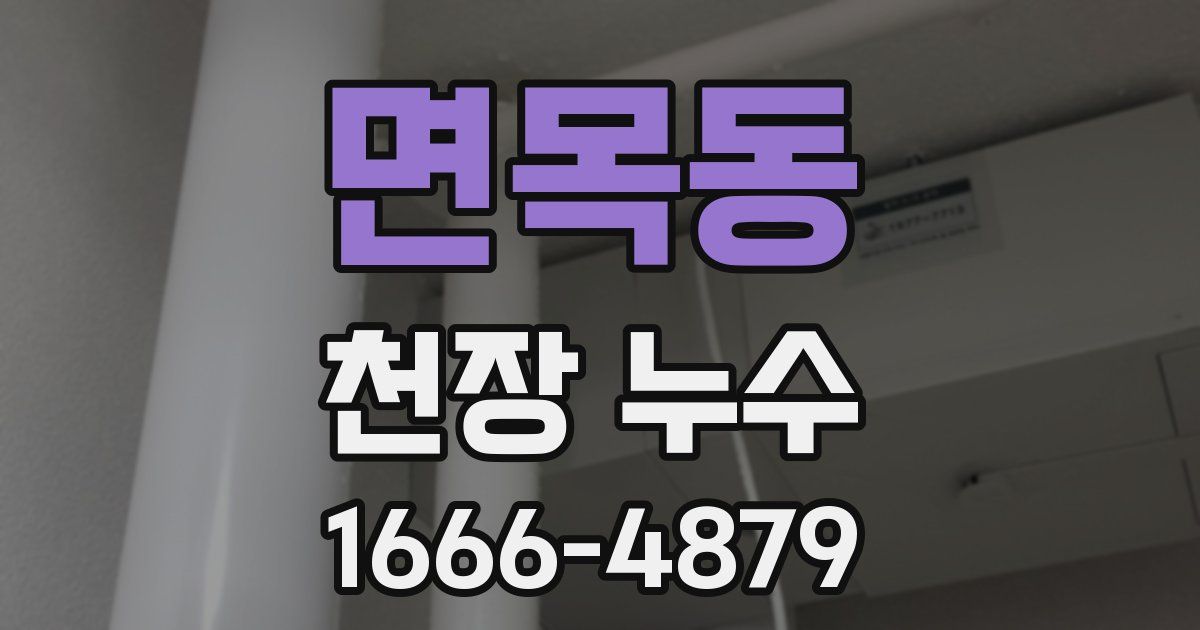 면목동 천장 누수