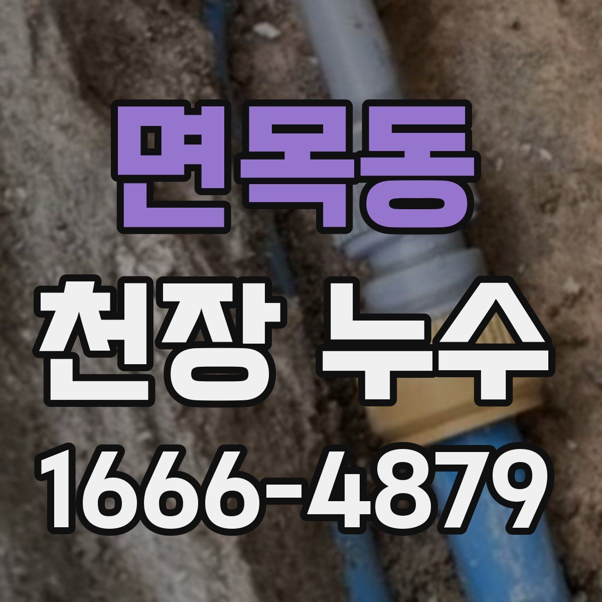면목동 천장 누수