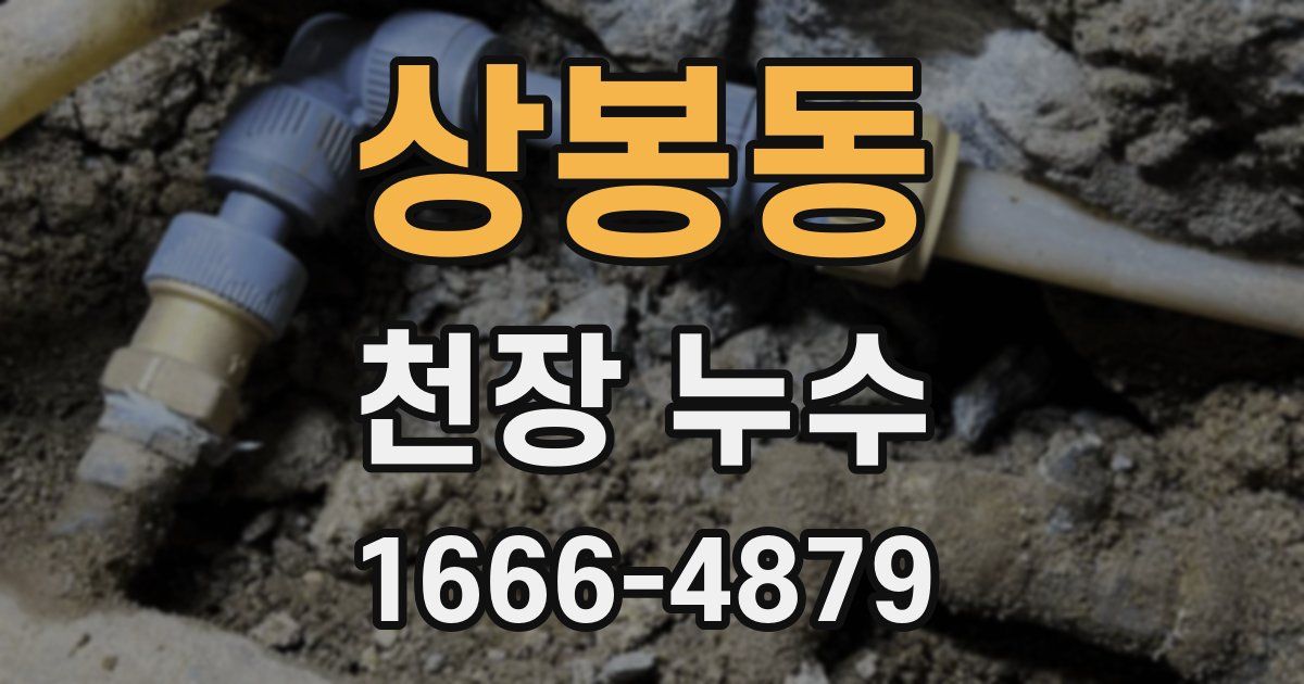 상봉동 천장 누수