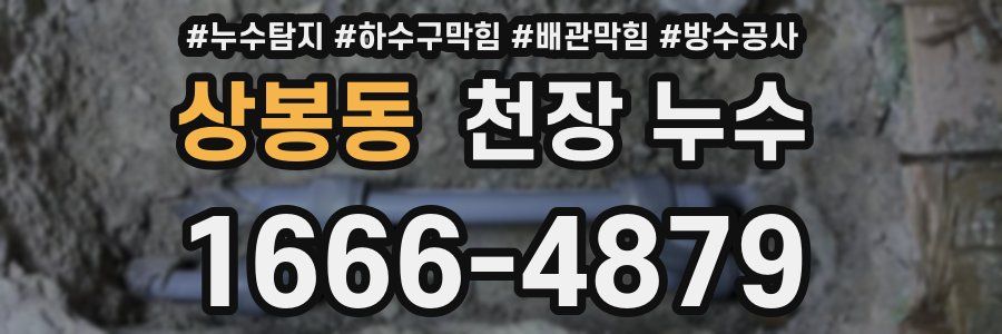 상봉동 천장 누수