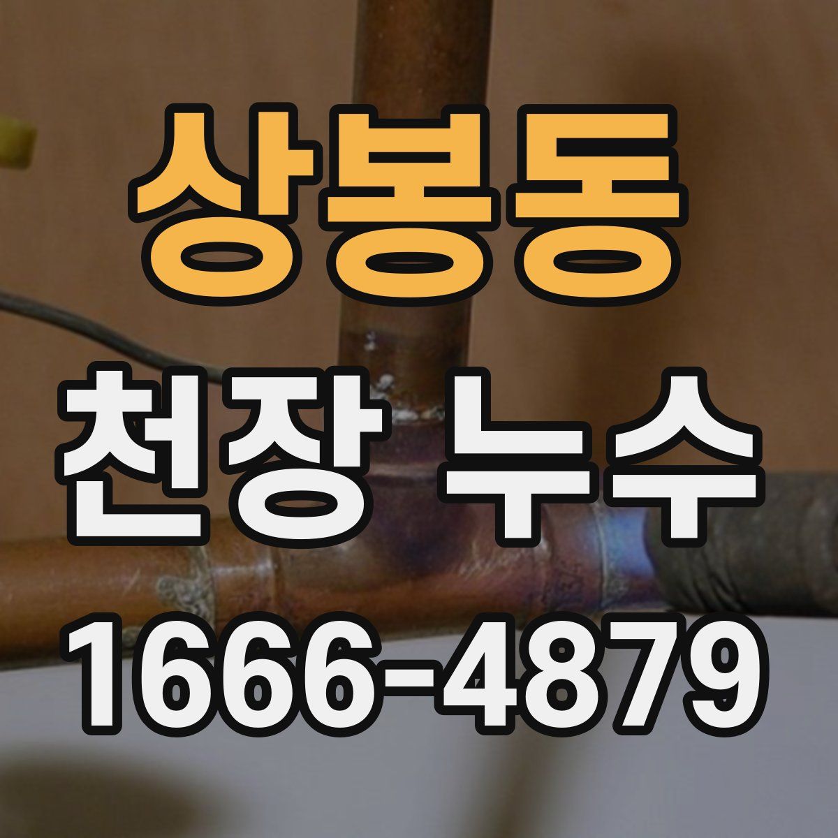 상봉동 천장 누수
