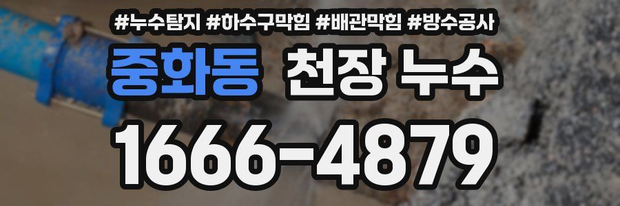 중화동 천장 누수