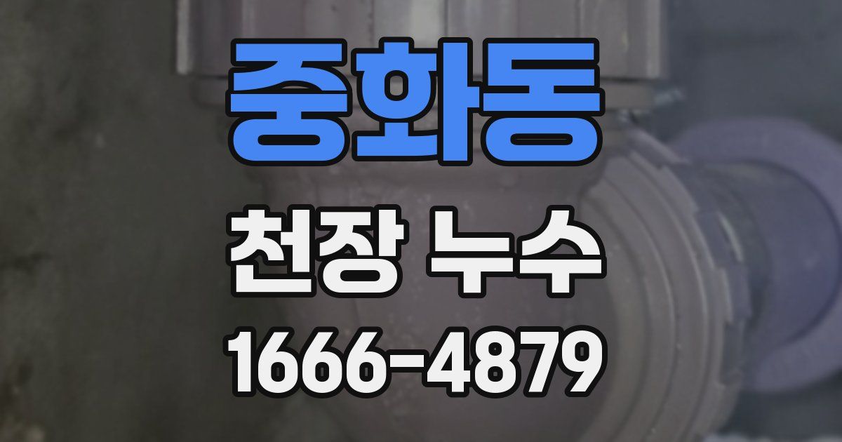 중화동 천장 누수