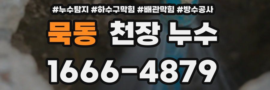 묵동 천장 누수