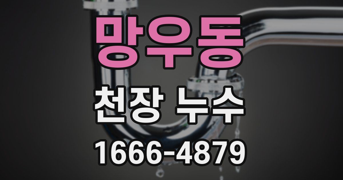 망우동 천장 누수
