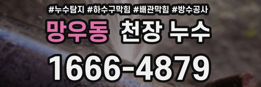 망우동 천장 누수