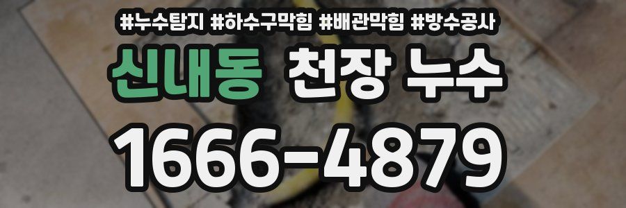 신내동 천장 누수