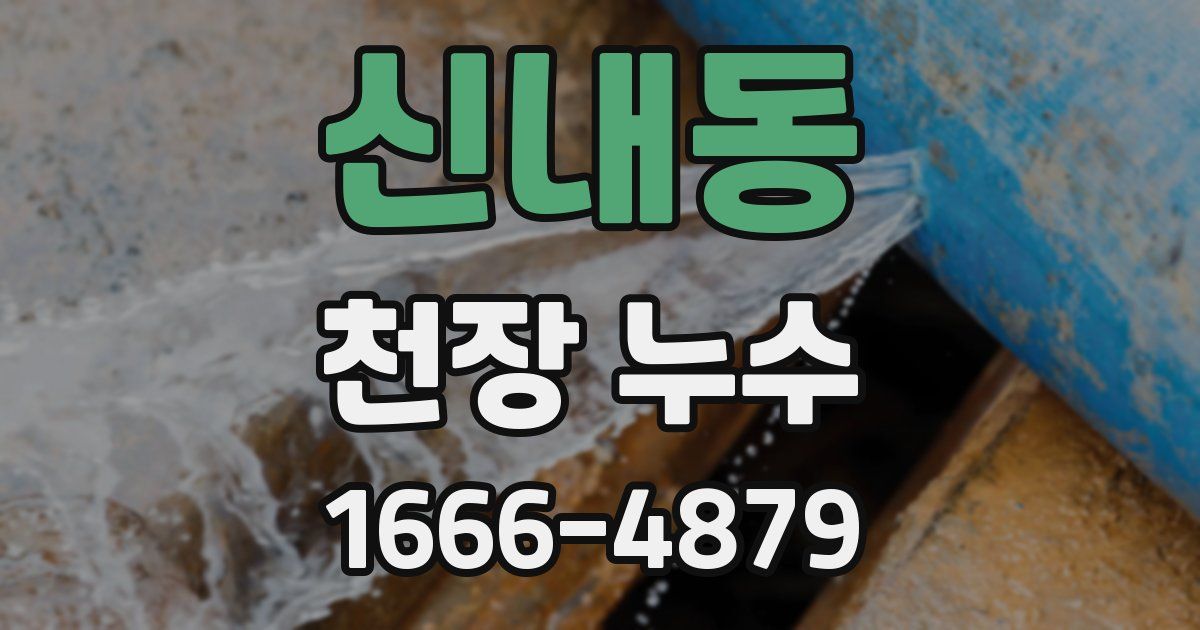 신내동 천장 누수