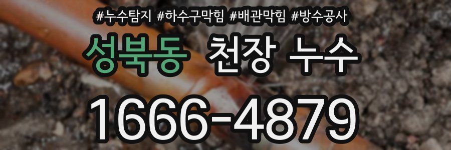 성북동 천장 누수