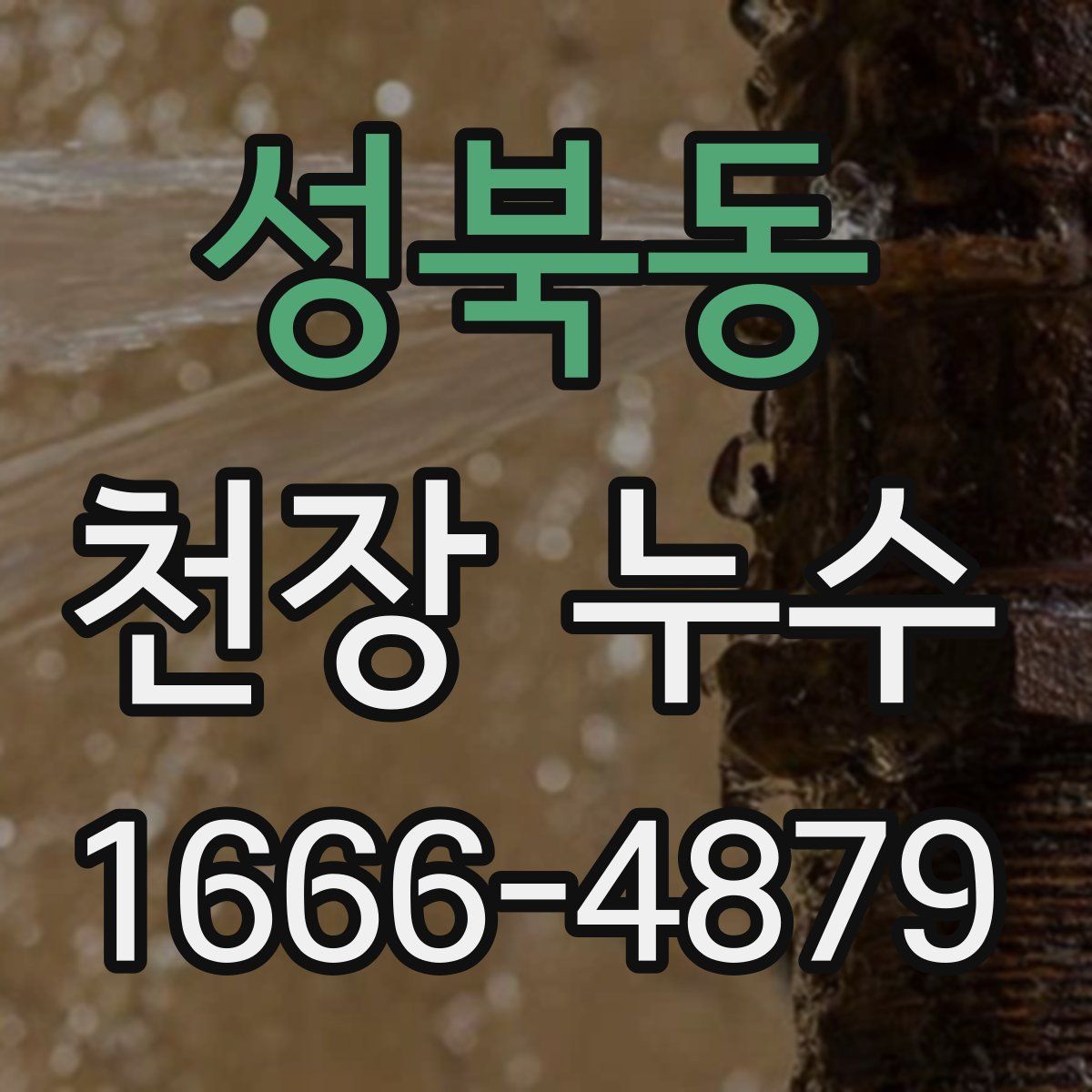 성북동 천장 누수