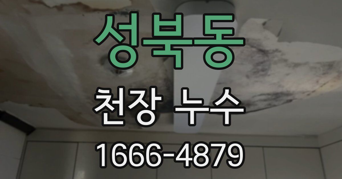 성북동 천장 누수