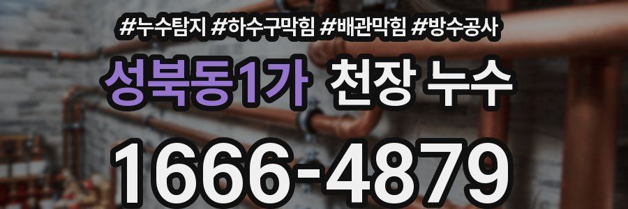 성북동1가 천장 누수