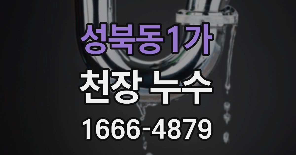 성북동1가 천장 누수
