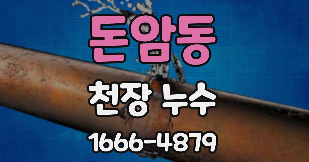 돈암동 천장 누수