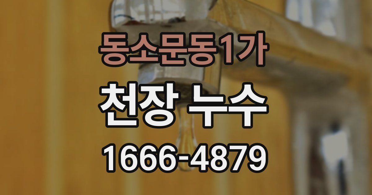 동소문동1가 천장 누수