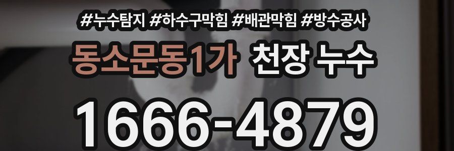 동소문동1가 천장 누수