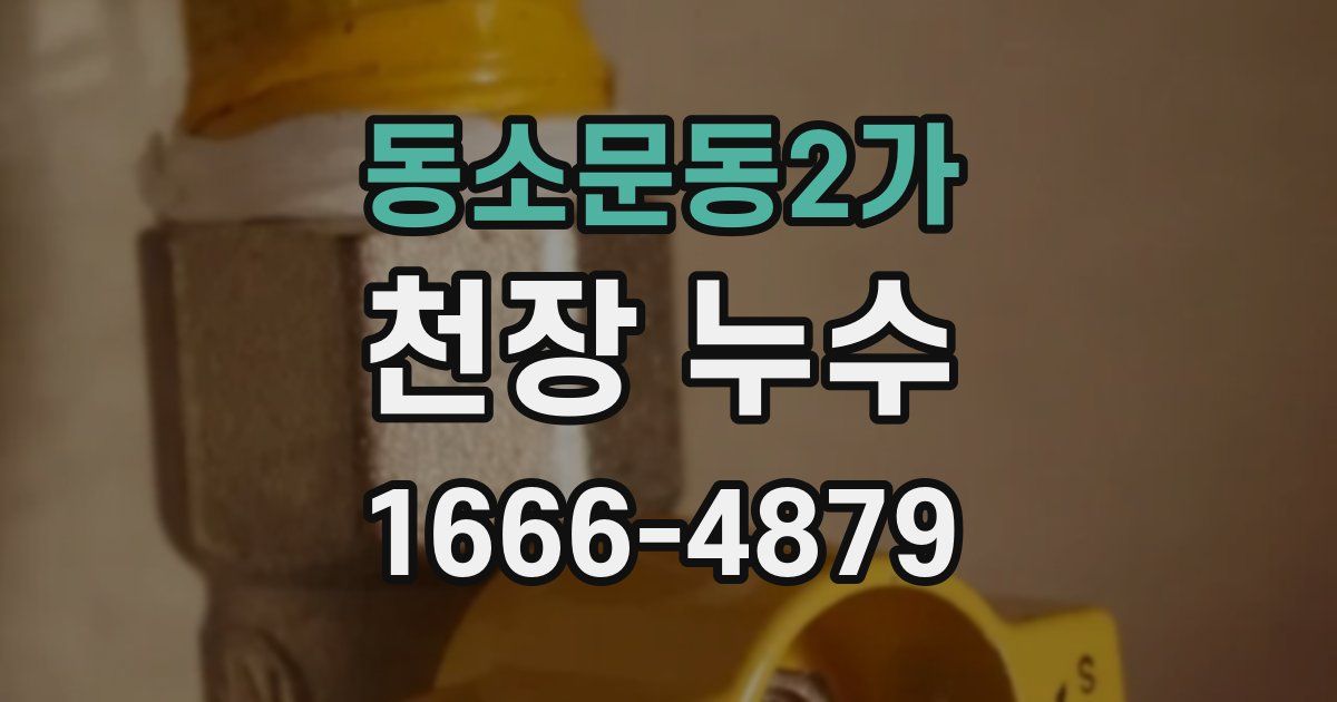 동소문동2가 천장 누수