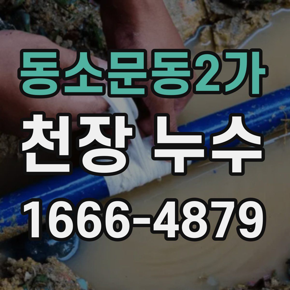 동소문동2가 천장 누수