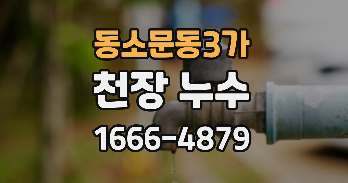 동소문동3가 천장 누수