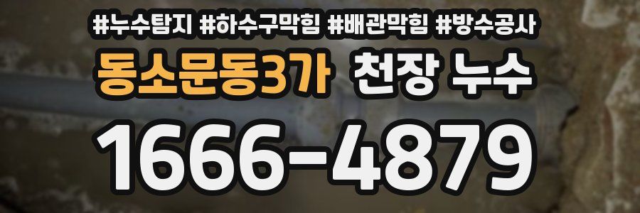 동소문동3가 천장 누수