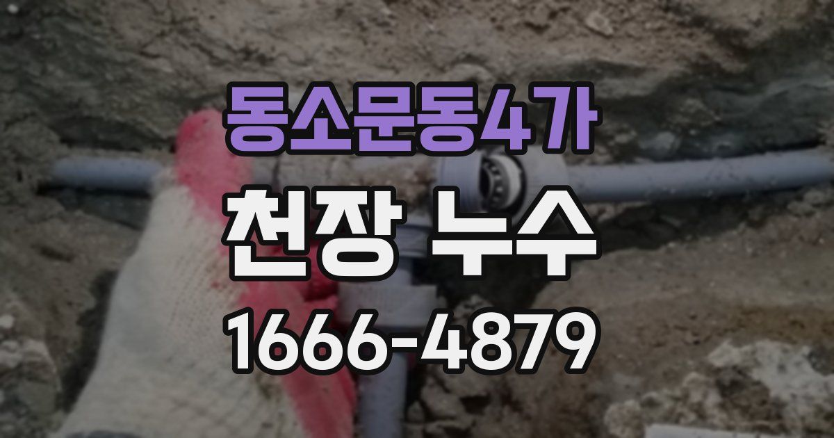 동소문동4가 천장 누수