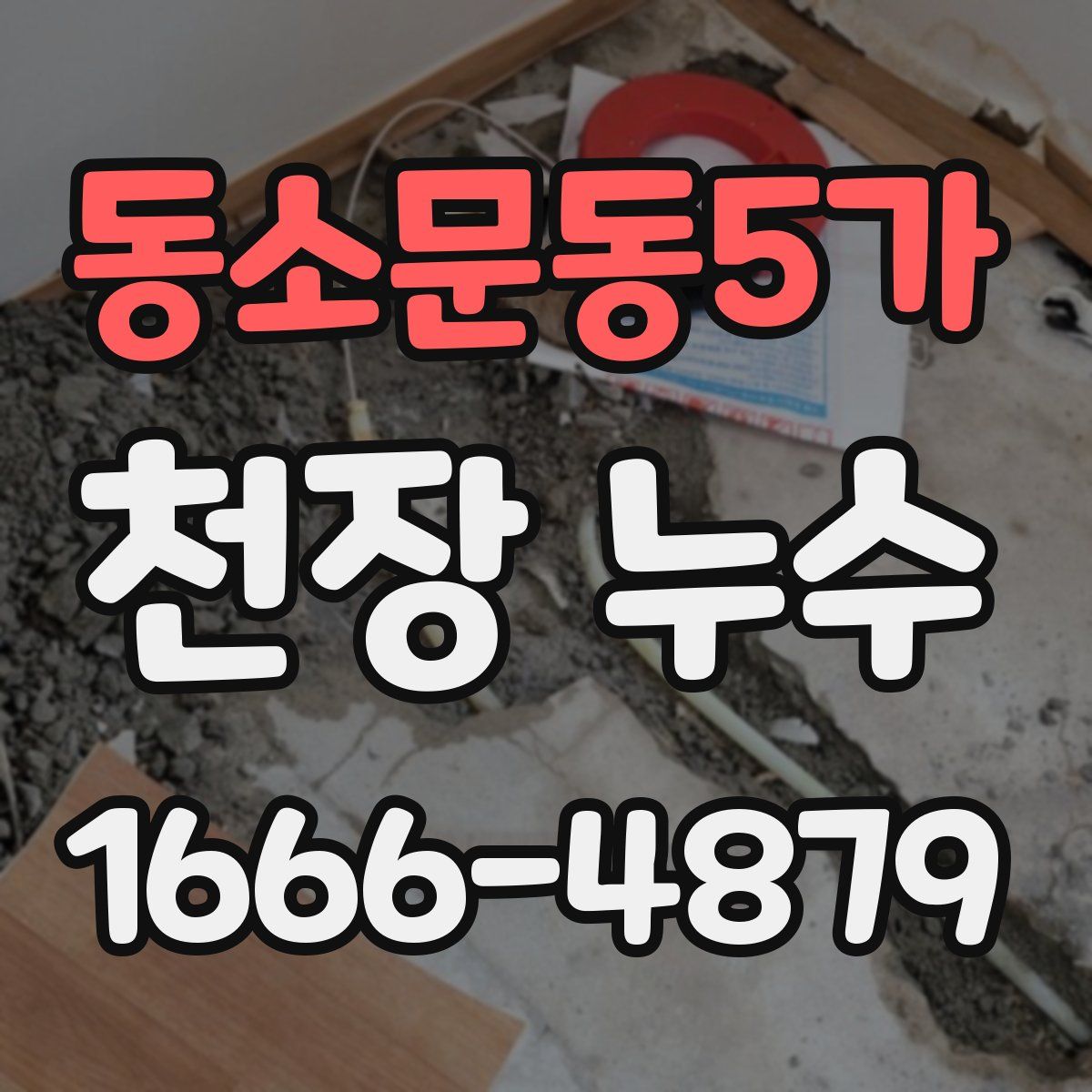 동소문동5가 천장 누수