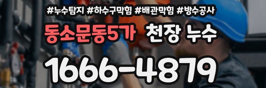 동소문동5가 천장 누수