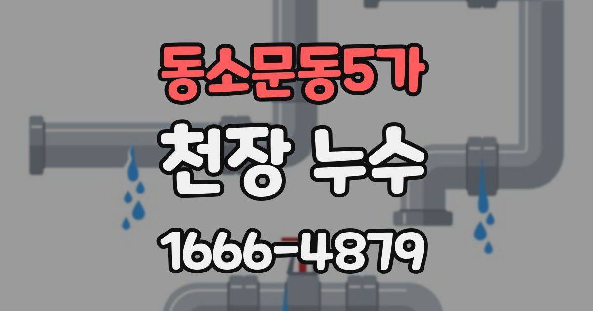 동소문동5가 천장 누수