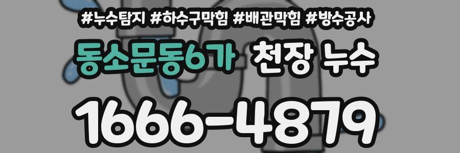 동소문동6가 천장 누수