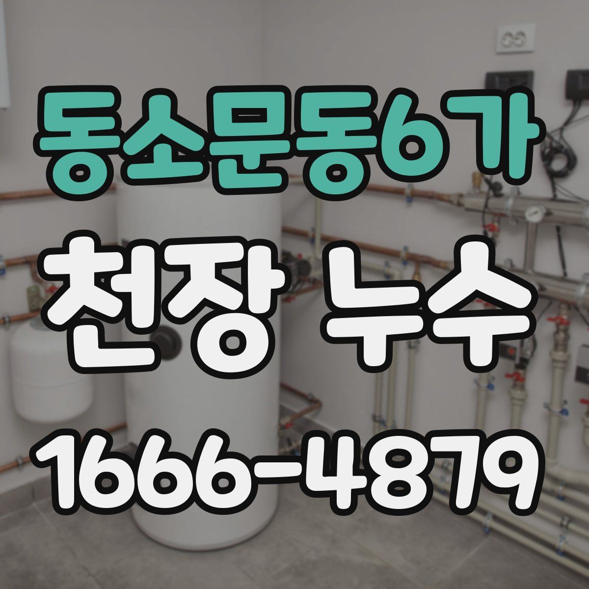동소문동6가 천장 누수
