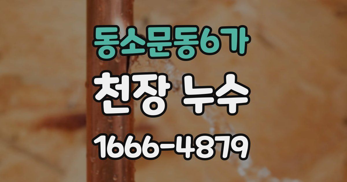 동소문동6가 천장 누수