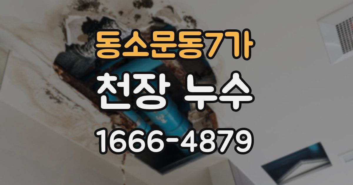 동소문동7가 천장 누수