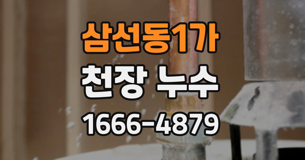 삼선동1가 천장 누수
