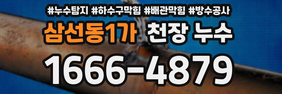 삼선동1가 천장 누수