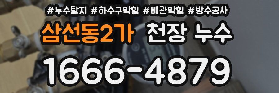 삼선동2가 천장 누수