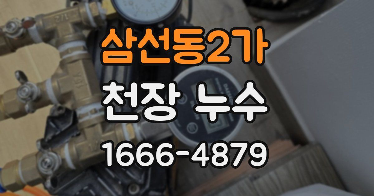 삼선동2가 천장 누수