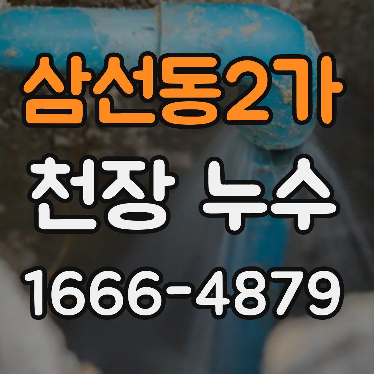 삼선동2가 천장 누수