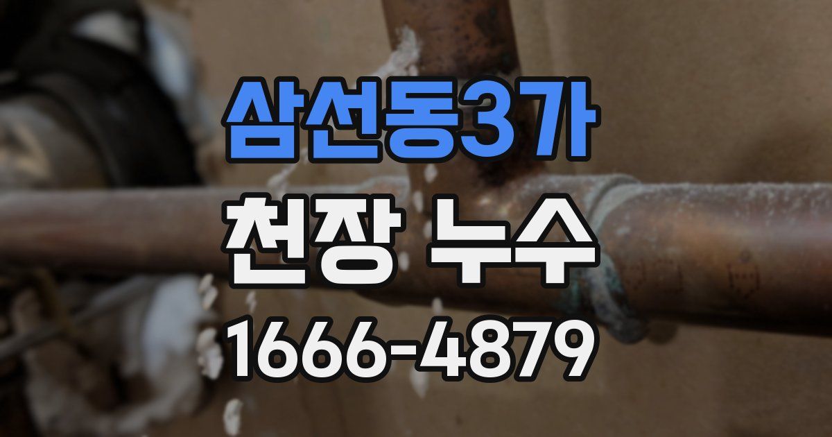삼선동3가 천장 누수
