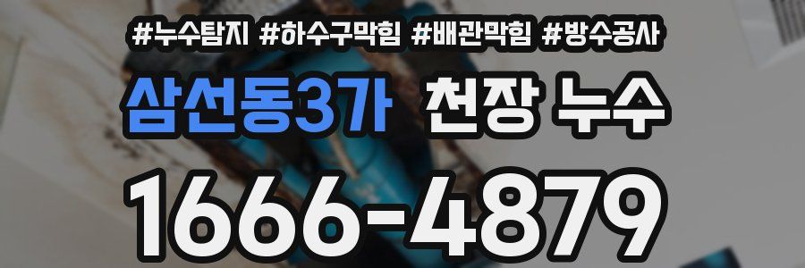 삼선동3가 천장 누수