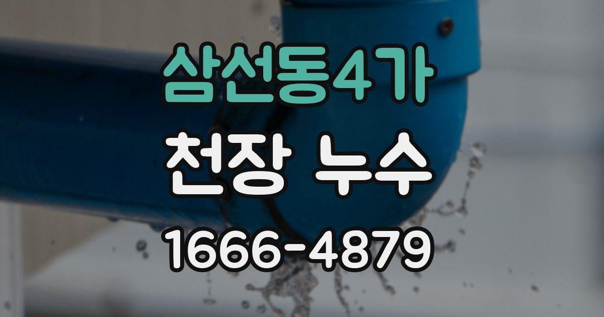 삼선동4가 천장 누수