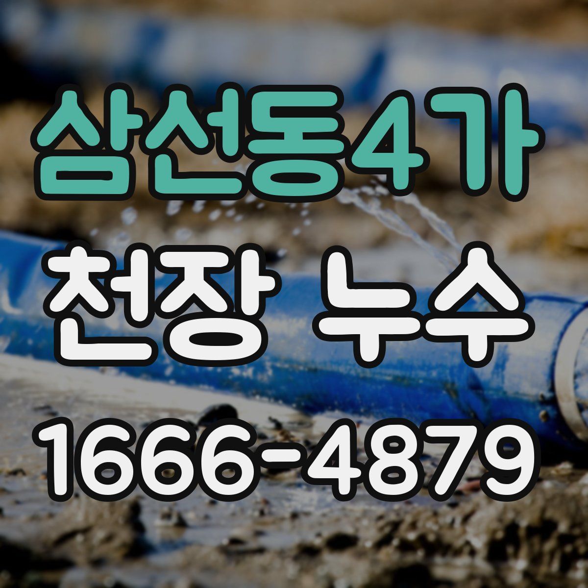 삼선동4가 천장 누수