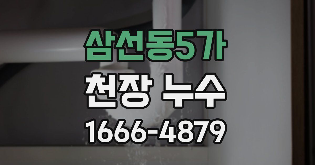 삼선동5가 천장 누수