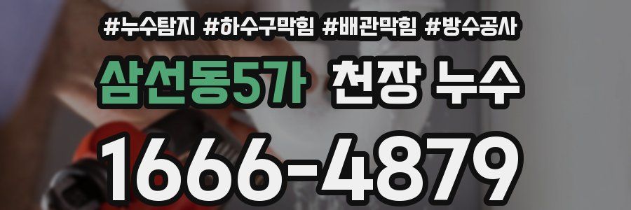 삼선동5가 천장 누수